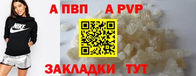 СК Бийск