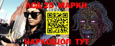 СК Бийск