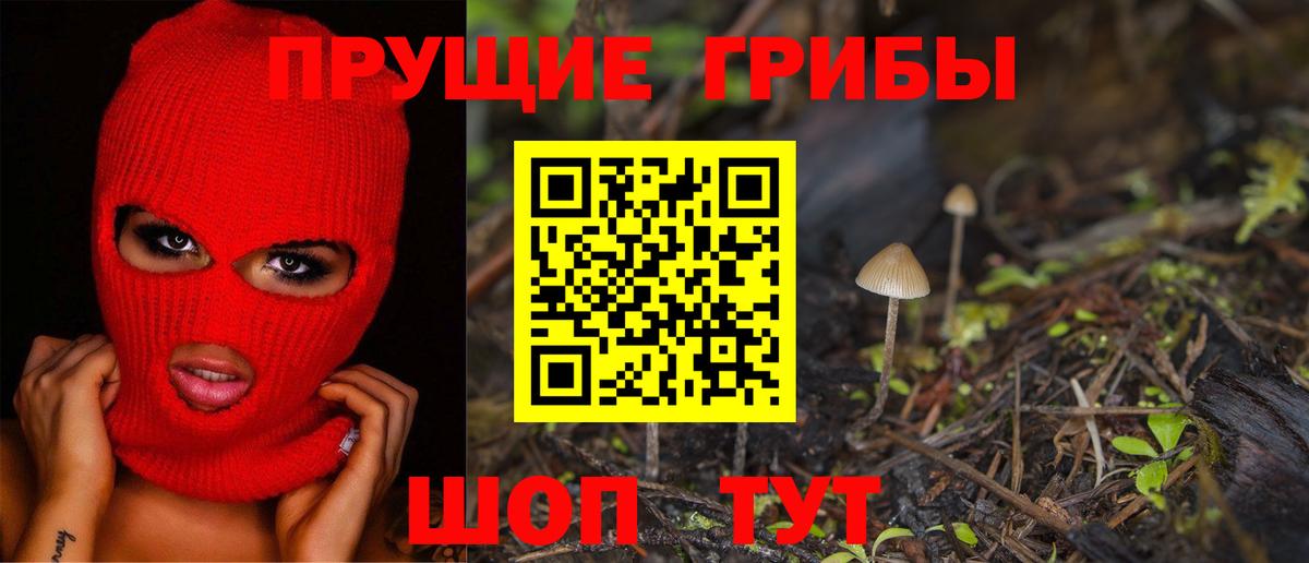 Касимов  Галлюциногенные грибы Cubensis  Псилоцибиновые грибы Cubensis  Вход с VPN 